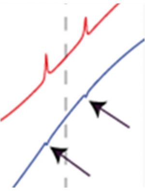 Introducing nuclear spin-noise spectroscopy: a complete analytical model for improved sensitivity