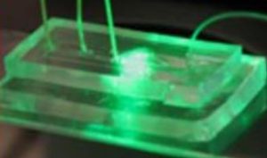 Améliorer la sensibilité d’analyse d’échantillons biologiques, avec la microfluidique
