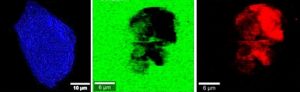 Instability of proteins in the presence of plastics